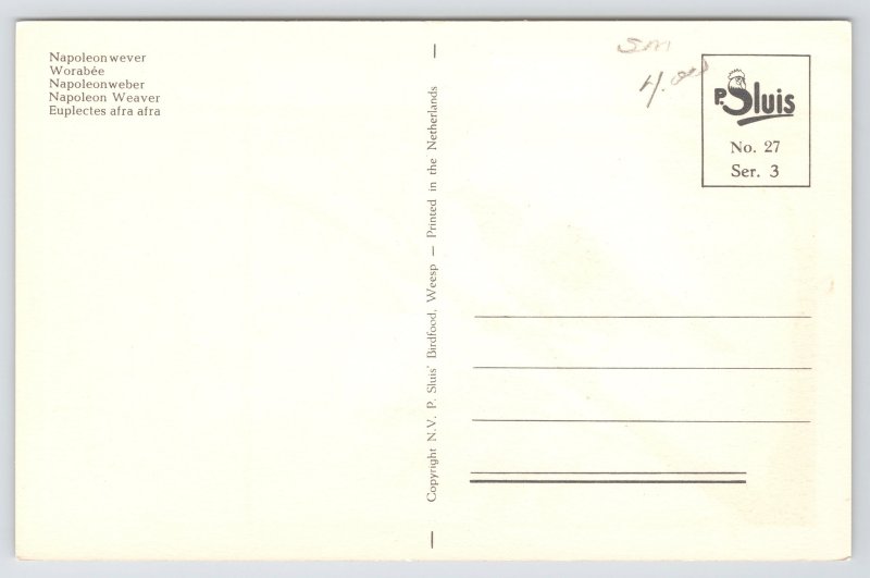 Animal~Bird~Napoleon Weaver~1950s Postcard