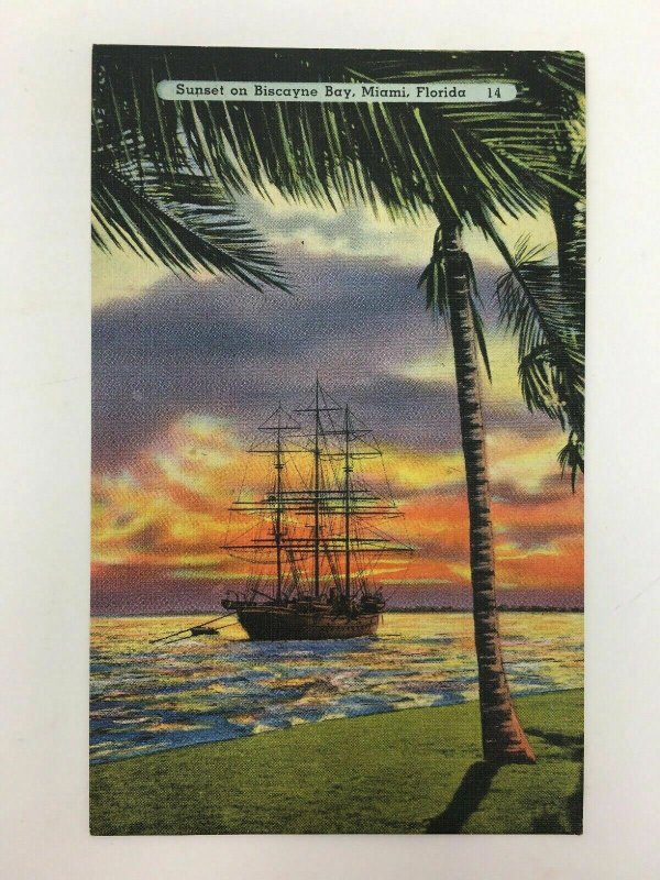 Sunset on Biscayne Bay Postcard Miami FL Ship