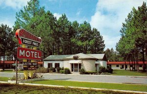 FOREST PINES MOTEL Jesup, Georgia Roadside ca 1950s Vintage Postcard