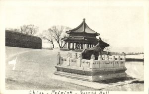 china, PEKING PEIPING 北京, Summer Palace, Sacred Bull (1910s) RPPC Postcard