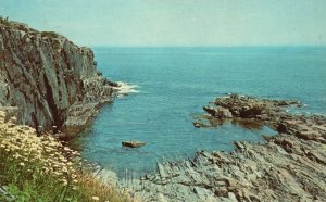 Vintage Postcard Bald Head Cliff Above The Ocean Edge Spectacular Ogunquit Maine 