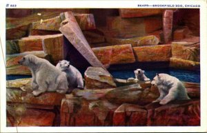 Polar Bears Brookfield Zoo Chicago Illinois IL 1937 WB  Postcard B4