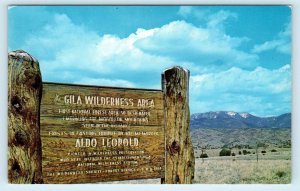 GILA WILDERNESS AREA, NM ~ SIGN ~ First Designated in USA (1924) c1960s Postcard