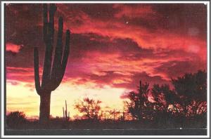 Arizona Desert Sunset - [AZ-034]