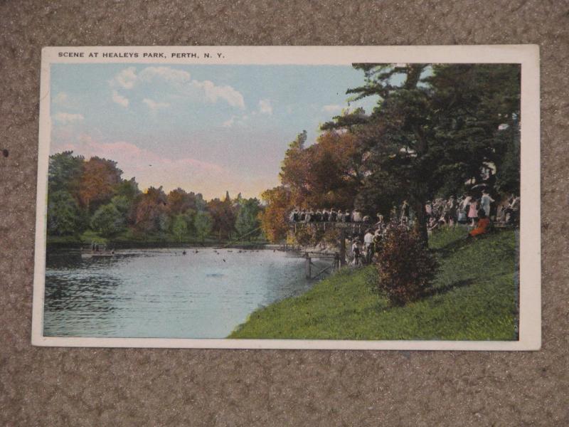 Scene at Healeys Park, Perth, N.Y., unused vintage card