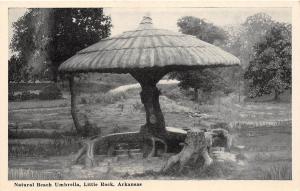 C34/ Little Rock Arkansas AR Postcard c1940s Natural Beach Umbrella
