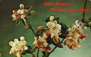 Michigan, Apple Blossoms State Flower Fragrant Charm to Living, Vintage Postcard