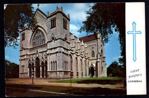 New York BUFFALO Saint Joseph's Cathedral Magnificent Gothic - Chrome