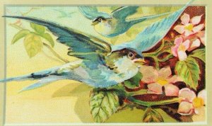 1880's Mandarin Tea Co. Coffees Colorful Blue Wild Birds Flowers P78