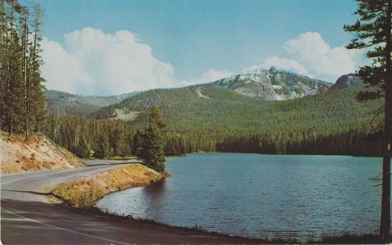 Sylvan Lake Postcard Yellowstone National Park Scenic