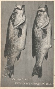 Tomahawk WI-Wisconsin, Caught At Twin Lakes Bass Fishing Vintage Postcard 1920's