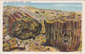 Arizona Logs In The Forest Petrified Forest