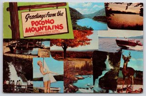 1970 Greetings From Pocono Mountains Pennsylvania Vacationland Posted Postcard