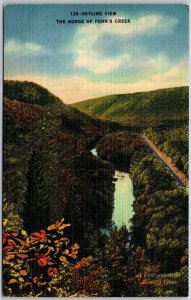 Skyline View The Gorge of Penn's Creek Poe Mountain Roads Pennsylvania Postcard