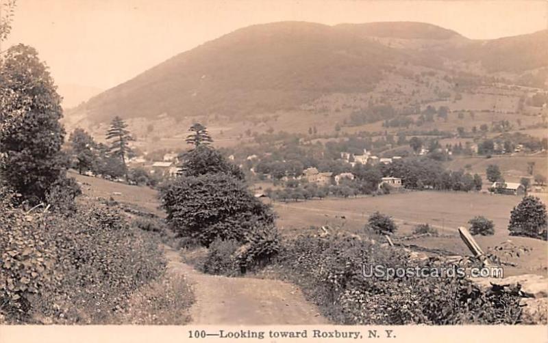 Looking Towards Roxbury NY Unused