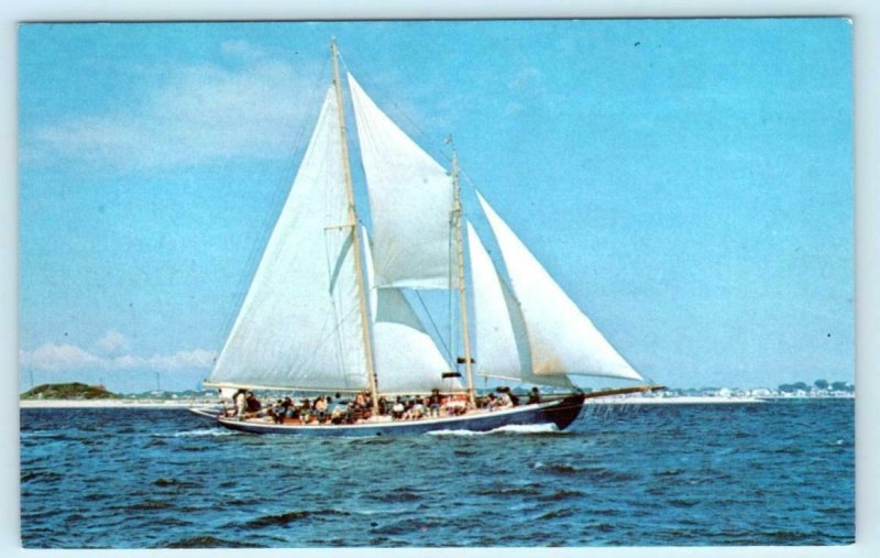 PROVINCETOWN, Cape Cod MA ~ SCHOONER HINDU Captain J.S. Avellar c1960s Postcard 