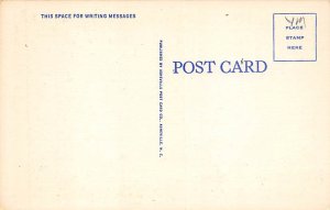 Moonlight Hickory, North Carolina NC Postcard