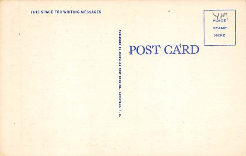 Moonlight Hickory, North Carolina NC Postcard