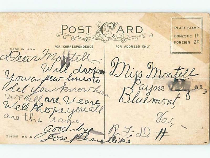 Divided-Back easter CHICKS WITH PURPLE EGG FILLED WITH FLOWERS r3469