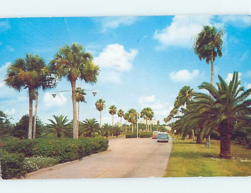 Pre-1980 STREET SCENE Clearwater Florida FL hp2518