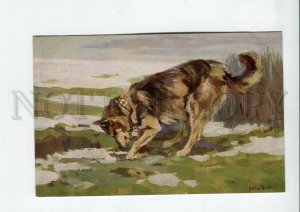 3159677 WWI German Shepherd Dog RED CROSS Field by HEIDE OLD