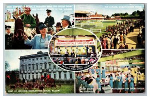 Postcard Irish Horse Racing Meet Of Hounds Irish Sweep Vtg. Standard View Card