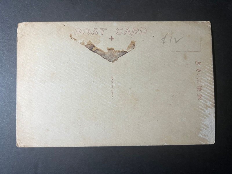 Mint British Senegal Postcard RPPC Native Sakai Selanger FMS