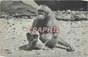 Modern Postcard Paris VIII (Zoo, Bois de Vincennes) National Committee for Ch...