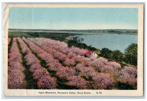 Annapolis Valley Nova Scotia Canada Postcard Apple Blossoms Farm 1939 RPO