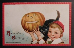 Mint USA Picture Postcard Halloween Smiling Child Holds Pumpkin Black Cat