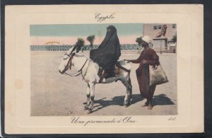 Egypt Postcard - Une Promenade a'Dne - Egyptian Donkey Carrier  T9932