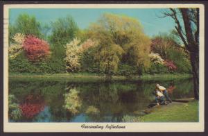 Outdoor Scene,Trees,Water Postcard BIN