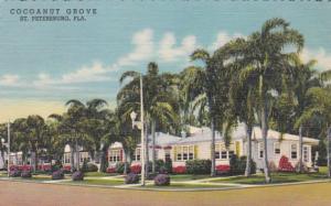 Florida St Petersburg Cocoanut Grove Motor Hotel Curteich