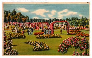 Vintage 1940s Postcard Pardee Rose Garden East Rock New Haven Connecticut