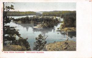 Thousand Islands New York c1905 Postcard View From Palisades