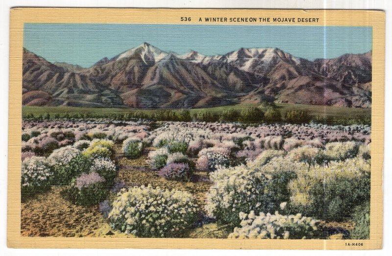 A Winter Scene on the Mojave Desert