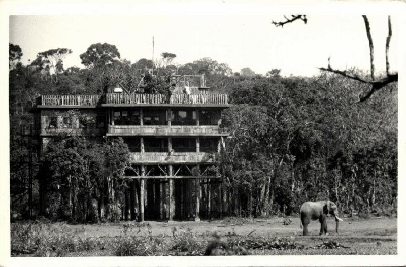 kenya, NYERI, Treetops with Elephant (1950s) RPPC