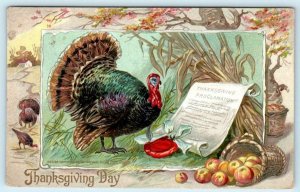 THANKSGIVING DAY ~ Embossed TURKEY Proclamation 1910 Tuck Postcard