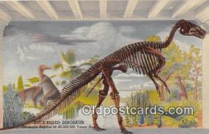 Duck Billed Dinosaur Colorado Museum of Natural History, USA Postcards Post C...