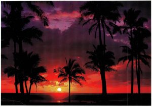 CONTINENTAL SIZE POSTCARD SPECTACULAR HAWAIIAN SUNSET W907