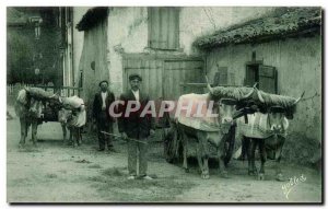Postcard Old Basque Country hitch Oxen