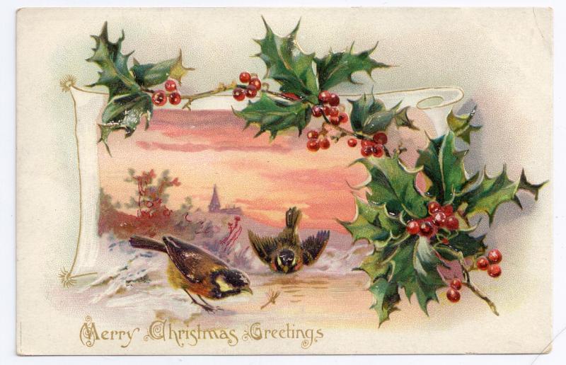 Merry Christmas Greetings Holly Birds Insect Embossed UND Tuck Vintage Postcard