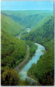 Postcard - South View of Pennsylvania's Grand Canyon, Pennsylvania, USA