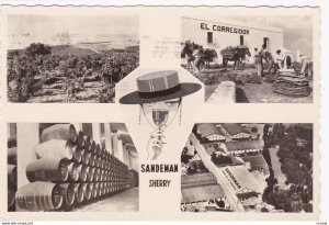 RP Sandeman Vinyards & Bodegas, Spain, PU-1960