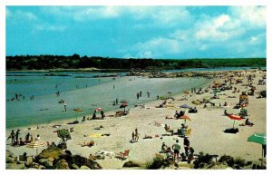 Postcard BEACH SCENE Gloucester Massachusetts MA AU3210