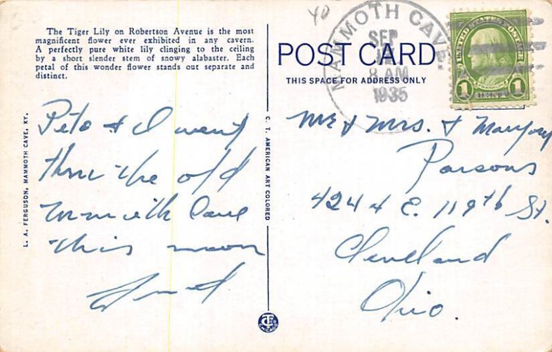 Tiger Lily new entrance Mammoth Cave KY