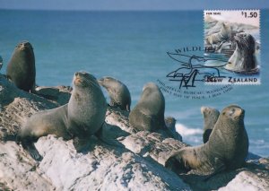 Fur Seal New Zealand Stamp Postcard First Day Cover