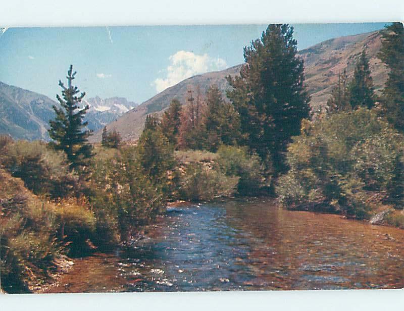 Pre-1980 ROBINSON CREEK Honeymoon Flats - Near Bridgeport & Lee Vining CA c3749