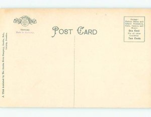 Unused Divided-Back STATE CAPITOL BUILDING Lincoln Michigan MI t5990