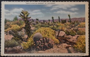 Devil's Cactus Garden of the Desert
